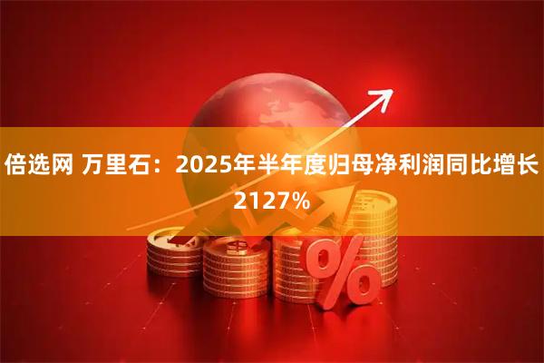 倍选网 万里石:2025年半年度归母净利润同比增长2127%