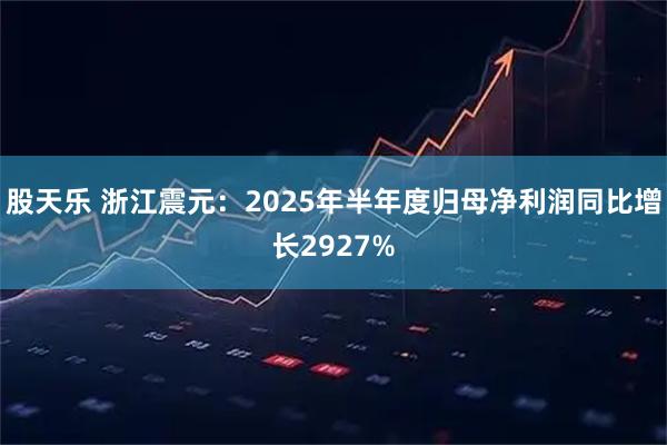 股天乐 浙江震元：2025年半年度归母净利润同比增长2927%